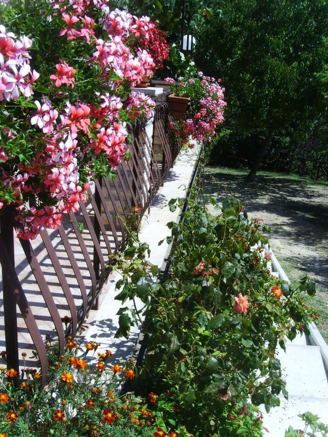 Bed and Breakfast Casa Lieta à Subiaco Extérieur photo